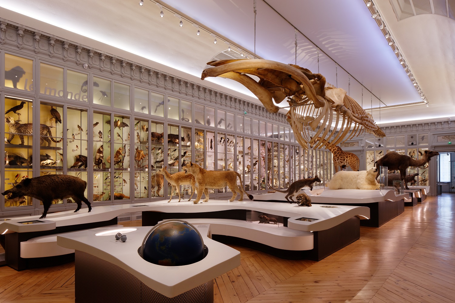 14 museum histoire naturelle